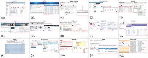Gene to disease databases and tools. (A). ClinVar search page and single gene input. (B). CNVD search page and multiple gene input. (C). DO search page and single gene input. (D). DiseaseEnhancer search page and multiple gene search. (E). DISEASE search page and single gene input. (F). GARD search page and single gene input. (G). GTR search page and single gene input. (H). miR2Diseases search page and single gene input. (I). Orphanet search page and single gene input. (J). DisGeNET search page and multiple gene input. (K). HGMD search page and single gene input. (L). Gene2Function search page and single gene input. (M). SwissVar search page and multiple gene search. (N). eDGAR search page and multiple gene search. (O). GeneAlaCart search page and multiple gene search. High-resolution images are attached in supplementary data.