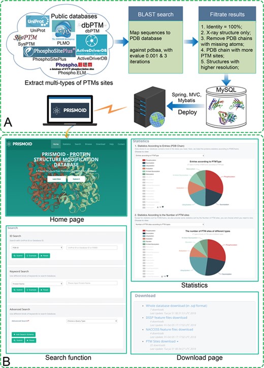 (A) PRISMOID data collection and processing flowchart; (B) Sample web interfaces. There are four major web pages in PRISMOID: ‘Home’ page, ‘Search’ page, ‘Statistics’ page and ‘Download’ page.