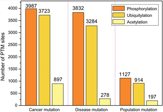 The top three PTMs in terms of the number of PTM sites associated with mutations. There are three types of mutations, including somatic cancer mutations, inherited disease mutations and population mutations.