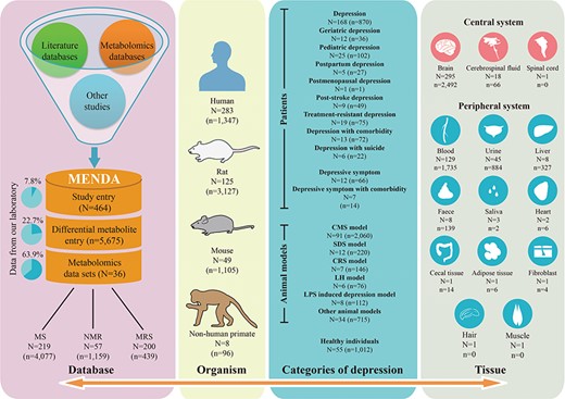 Data statistics of MENDA. N, number of studies; n, number of differential metabolite entries; CMS, chronic mild stress; SDS, social defeat stress; CRS, chronic restraint stress; LH, learned helplessness; LPS, lipopolysaccharide; MRS, magnetic resonance spectroscopy; MS, mass spectrometry; NMR, nuclear magnetic resonance.