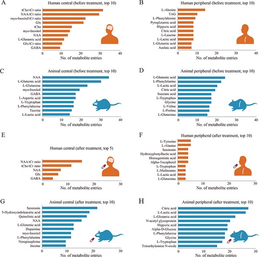 The numbers of entries for the most frequently reported metabolites in separate settings. The plots summarize the numbers of entries for the most frequently reported metabolites in the central (A) and peripheral (B) systems of patients, in the central (C) and peripheral (D) systems of animal models before treatment, and in the central (E) and peripheral (F) systems of patients, and the central (G) and peripheral (H) systems of animal models, after treatment. Orange and blue bars denote the numbers of metabolite entries from human and animal models for the specific metabolites, respectively. GABA, gamma-aminobutyric acid; Glx, glutamate and glutamine; NAA, N-acetyl-L-aspartic acid; tCho, choline-containing compounds; tCr, creatine and phosphocreatine.