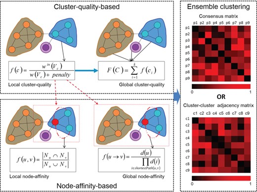 The schematic of computational methods for protein complex identification. Cluster-quality-based methods and node-affinity-based methods measure protein complexes from different aspect, and ensemble clustering methods are developed based on the former two categories of methods.