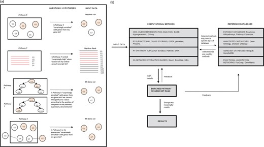 GSA in a nutshell. The goal of all GSA methods is to interpret some experimental results (DE genes, for example) by comparing them to a database with biological annotation that can increase our knowledge of the phenomenon under study. (a) The type of questions that give origin to the main GSA approaches. (b) A flow diagram of the general GSA process.