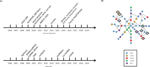 GSA for non-mRNA datasets. (a) The Past (a historical overview of the main GSA methods for non-mRNA datasets): the figure includes the main methods for both genomic range GSA and ncRNA GSA published until 2016. (b) The Future (network approaches to GSA): for genomic data, networks can be used either as links between chromatin regions related to transcription or as linkage disequilibrium clusters, which may redefine the mapping from peaks or SNPs to genes (non-depicted). For ncRNA data, multipartite ncRNA–mRNA correlation networks in tandem with community detection algorithms may become an avenue to understand the different correlation structures between ncRNAs and mRNAs and choose the right gene sets for GSA. Depicted: DE genes (inside a diamond) generate communities on an imaginary network, which may be used as gene sets for integrative GSA of RNA data.
