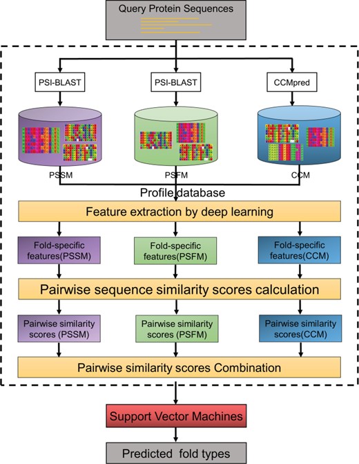 The framework and working process of DeepSVM-fold.