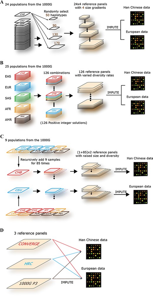 Research design. (A) The design of imputation accuracy versus reference panel size. Twenty-four worldwide population of the 1000G Phase 3 were selected (sample size > 85), such as CHB, CEU and Gujarati Indian from Houston (GIH). For each population, the haplotypes were extracted and customized as reference panels with four size gradients (50, 90, 130 and 170 haplotypes). Totally, 96 reference panels (24 × 4) were formed, and then the imputation was performed for the Han Chinese and European chip data in the local server. (B) The design of imputation accuracy versus reference panel diversity. In this part, the size of reference panels was fixed to 640 haplotypes. Twenty-five populations of the 1000G Phase 3 were selected and categorized into five groups (EAS, EUR, SAS, AFR and AMR; see Methods); each group included five populations, and each population contained 64 samples. The five groups of population that we considered corresponded to a set of vectors (i1–i5) and solved the function of i1 + i2 + i3 + i4 + i5 = 5. We got 126 positive integer solutions in total, which represented 126 combinations. Finally, 126 reference panels were formed, and the imputations were performed for the Han Chinese and European chip data in the local server. (C) The design of imputation accuracy versus reference panel size and diversity. Twelve populations were selected. Nine of them were diverse to Han Chinese and European populations. Then, the CHB and CEU were used as basic panels; the diverse samples were recursively added to them, nine samples per time and 85 times in total. Finally, two reference panel sets were formed, and each group included 86 reference panels (1 + 85). The imputations were then performed for the Han Chinese and European chip data in the local server. (D) Imputation for the Han Chinese and European populations using 1000G, HRC and CONVERGE reference panels.