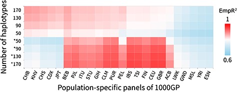 Imputation accuracy heat map for the Han Chinese and European populations with 24 population-specific reference panels. The colors that changed from light blue to red represented the imputation accuracy (measured by EmpR2). The x-axis represented the 24 population-specific reference panels from the 1000G Phase 3. The y-axis represented the four different haplotype sizes of reference panels. The without asterisk marked group (upper) was for the Han Chinese population, and the asterisk marked group (lower) was for the European population.