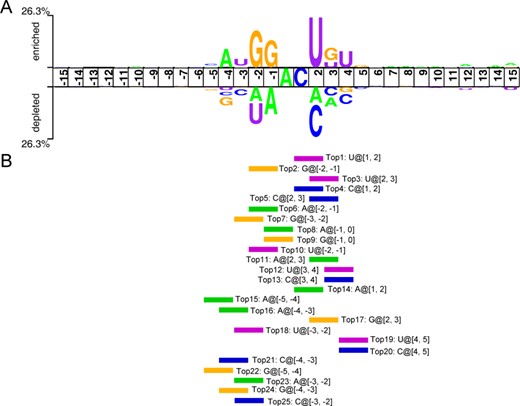 Two-Sample-Logo representations and informative features identified by ENAC encoding. (A) Sequence patterns surrounding m6A sites, including significantly enriched and depleted nucleotides for the m6A and non-m6A sites (P < 0.05, t test). The patterns were visualized using the Two-Sample-Logo method, and (B) informative features captured by ENAC encoding were ranked using the information gain method, with the top-ranked characteristic features listed.