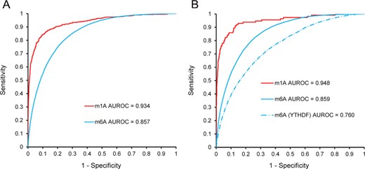 ROC curves for the different DeepPromise variants. (A) Fivefold cross-validation and (B) independent tests.