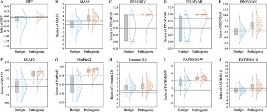 Box and whisker plots showing the distributions of prediction scores of the ten algorithms for SCN1A missense variants. The data were generated by different tools, including SIFT (A), MASS (B), PP2-HDIV (C), PP2-HVAR (D), PROVEAN (E), SNAP2 (F), MutPred2 (G), I-Mutant 2.0 (H), FATHMM-W (I), and FATHMM-U (J). All pathogenic groups are significantly different from the benign groups in prediction scores (n = 596 for pathogenic variants, n = 305 for benign variants, P < 0.001, student’s t-test). The solid and dash lines across the graphs indicate the default and optimized cutoffs (thresholds), respectively. Predictive scores above the cutoff lines indicate pathogenic. Note that most default cutoffs were lower than those optimized by accuracy, indicating that the default predictions have higher false positive rates. Boxes represent the 25–75th percentiles, and lines in the middle of boxes are the medians. The colored points represent individual data.