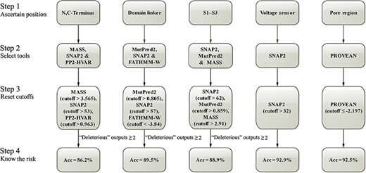 Step-by-step optimizations for predicting the damaging effect of SCN1A missense variants. Acc, accuracy.