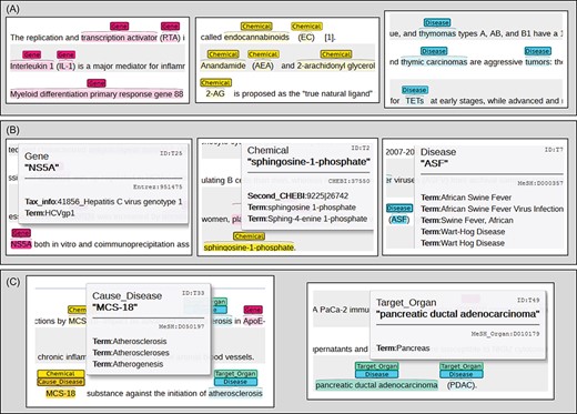 Annotation schematic diagram for defined tasks.