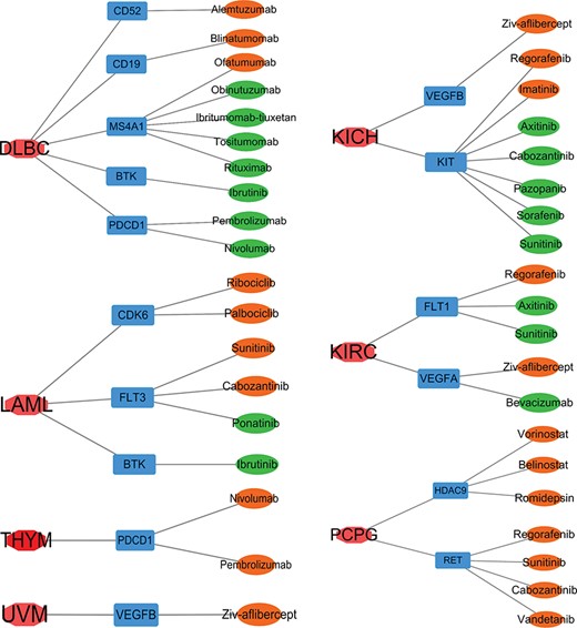 Targets of US FDA-approved drugs in SEGs of seven cancers. Red, cancers; blue: targets of US FDA-approved drugs as SEGs of that cancer; green, a drug that was tested in that cancer; orange, a drug that was developed for cancers other than that cancer.