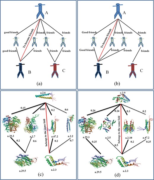 The similarity between social network and protein fold recognition. Based on their similarity, the TCP can be applied to protein fold recognition.