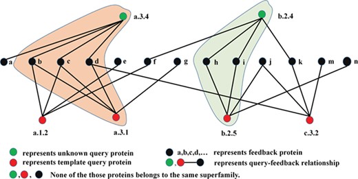 The flowchart of how TCP works on the protein similarity network.