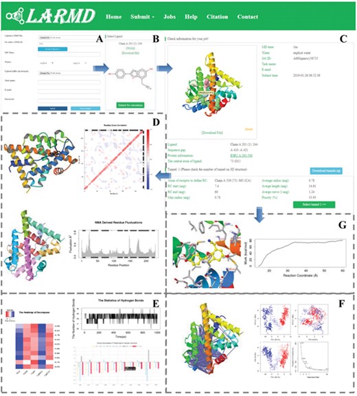 Screenshots of the LARMD. A. The job submitted webpage. B. The ligand selected webpage. C. The checking job webpage of Str_mod. D. The results of Nor_mod, including residue fluctuation, residue correlation and protein structure network. E. The results of energy calculation, decomposition and hydrogen bond analysis. F. PCA and dynamic residue cross-correlations. G. The energy profile with ligand unbinding and conformation analysis derived from Str_mod.