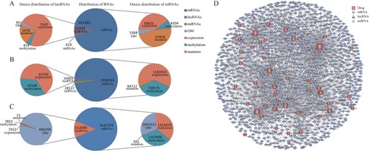Proportions of mRNAs, lncRNAs and miRNAs in CCLE (A), CellMiner (B) and GDSC (C). (D) The bipartite network of associations with correlation strength greater than 0.4 and FDR less than 0.00001 between RNA molecules and FDA-approved drugs. Node represents RNA molecule (miRNA, mRNAs or lncRNA) or drug, and the thickness of edge corresponds to correlation strength. The size of the node corresponds to the node degree.