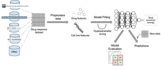The usual steps in a DL-based drug response prediction workflow. A drug screening dataset is obtained from GDSC, CCLE or other resources. Complementary data and prior knowledge from other databases can also be collected at this stage. The data are then preprocessed according to data type. This results in a set of drug features and multiple omics features characterizing the cell lines. Afterwards, these distinct sets of features are either merged into a single training set or fed into separate encoding subnetworks. The model is then fit on the training set. Model hyperparameters can be optimized during the training stage. Different model validation techniques are used to evaluate model performance and select the best model. After training, the model can be used to predict drug response for new samples.