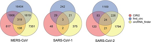 The number of viral circRNAs identified by three computational methods (CIRI2, find_circ and circRNA_finder) in MERS-CoV, SARS-CoV-1 and SARS-CoV-2.
