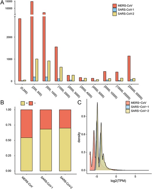 The distribution of length (A), strandness (B) and expression level (C) of viral circRNAs encoded by MERS-CoV and SARS-CoV-1/2. TPM, transcripts per million (Materials and Methods).