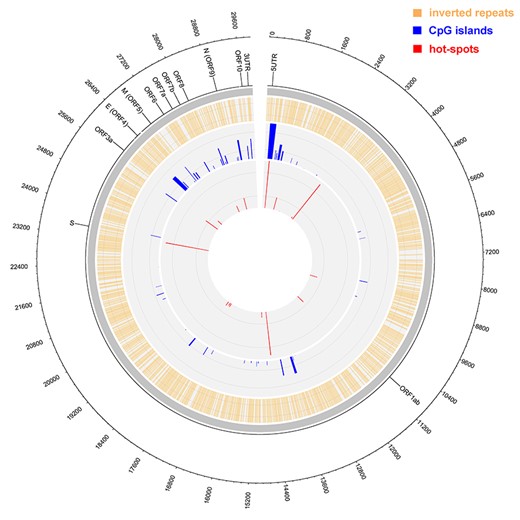 Circos plot of IRs and CpGs overlay with SARS-CoV-2 hot-spot mutations. Outer circle—nucleotide positions, second circle—gene annotations (ORFs are designated by their common symbols [S for spike glycoprotein, E for envelope protein, M for membrane glycoprotein, and N for nucleocapsid phosphoprotein]). Orange—IR presence, blue—CpG island presence (heights of CpG peaks correspond proportionally to their score by newcpgpeak [higher peak = higher score]). Red—hot-spot mutations (heights of hot-spot mutations bands proportionally express their frequencies in all analyzed genomes). The grey circle separates the descriptive (outer) and analytics (inner) part of the plot.