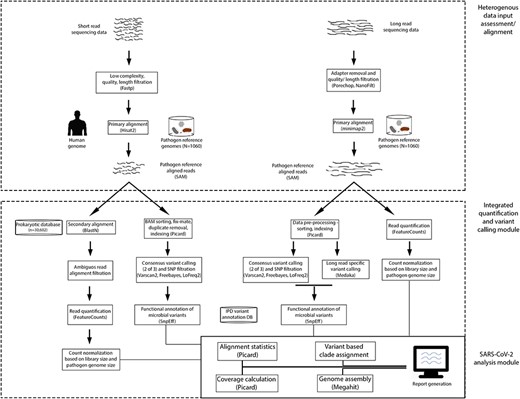 Analytical pipeline of IPD. The pipeline is composed of three modules: (A) heterogeneous data filtration/alignment, (B) integrated variant calling and quantification, and (C) specialized SARS-CoV-2 analysis module.