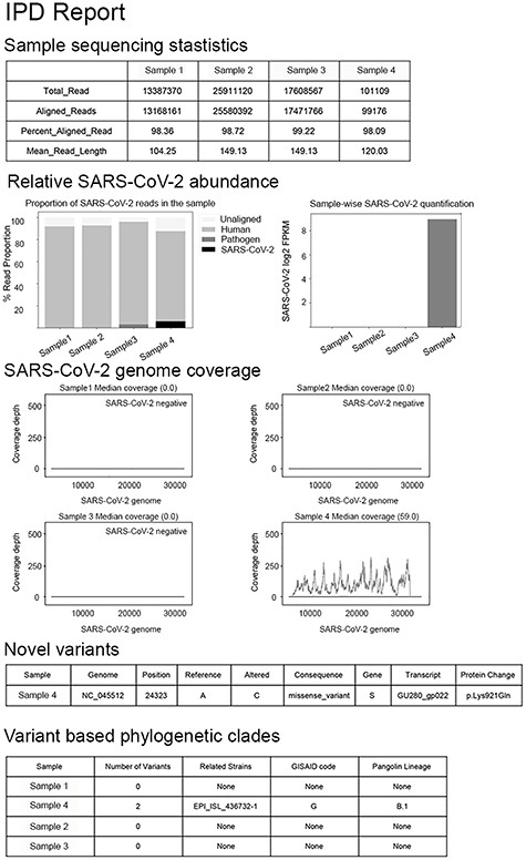 Automated report generation in IPD. HTML report as generated by the IPD SARS-CoV-2 module, containing sequencing statistics, pathogen quantification and genome coverage and variant information, as three major sections.