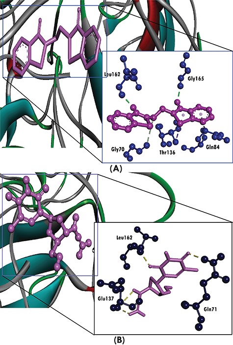 Three-dimensional representation of molecular docking analysis between the SARS-CoV-2 N protein (PDB ID: 6M3M) and (A) 49, (B) zidovudine, where hydrogen bonds are displayed as green dotted line, attractive charges are displayed as gold dotted lines, hydrophobic (pi–pi/pi–alkyl stacking) are displayed as pink dotted lines, carbon–hydrogen bond are displayed as white lines, and unfavourable bumps are displayed as red dotted lines.