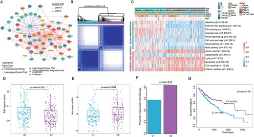 Identification and characterization of molecular subtypes in patients with hepatocellular carcinoma. (A) Identification of survival-related regulation modules among clinical targetable genes. (B) Subgroups are identified based on gene expression data of LIHC cohort by k-means consensus clustering upon their abundance. k was examined from 2 to 6 and consensus clustering was based on 100 resampled datasets. (C) Heatmap of difference score in two subgroups. (D) The hypoxia scores in different subgroups. (E) The mutation burden for patients in different subgroups. (F) The proportion of patients that response to chemotherapy in all available treatment information in two subgroups. (G) Kaplan–Meier curves for overall survival based on the two subgroups (Log-rank test).