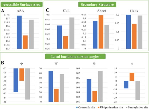 The structural annotations regarding the accessible surface area (A), local backbone angles (B) and SS (C) between UBS crosstalk and ubiquitylation or SUMOylation data.