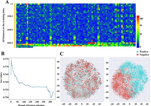 (A) The correlation between every feature vector in the training data and the corresponding label based on chi-square statistics. (B) The AUC value of 10-fold cross-validation with the decrease of feature dimension. (C) The t-distributed Stochastic Neighbor Embedding (t-SNE) visualization of the benchmark data set in a 2D feature space before and after feature optimization.