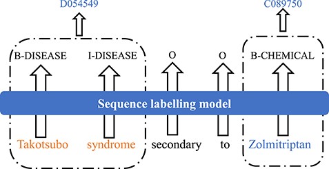 An example of the task of biomedical NER and normalization.