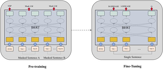 Overall pre-training and fine-tuning procedures for BERT, which uses the same same multi-layer architecture (except the output layer) for pre-training and fine-tuning.