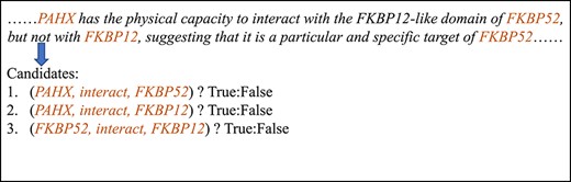 An example of biomedical RE. There are three biomedical entities co-occurred in this text piece. The biomedical RE process is to assemble them and determine if a specific relation holds for each pair.