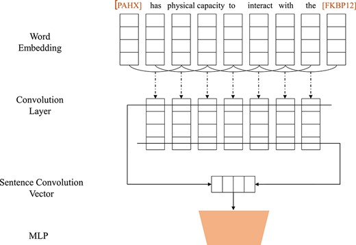 CNN-based framework for relation extraction.