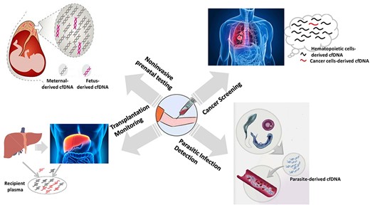 The cfDNA-based noninvasive diagnosis applications.