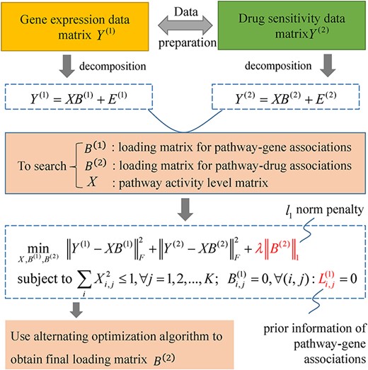The flowchart of iPaD for inferring drug-pathway associations using the data of gene transcription and drug sensitivity profiles of human cell lines.