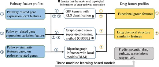The flowchart of drug-pathway association prediction via multiple feature fusion.