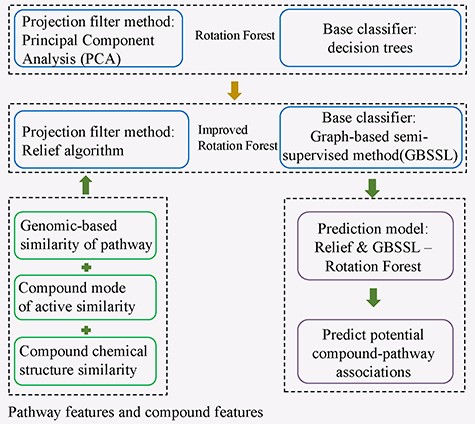 The flowchart of an improved Rotation Forest ensemble learning method of RGRF to infer potential associations between compounds and pathways.