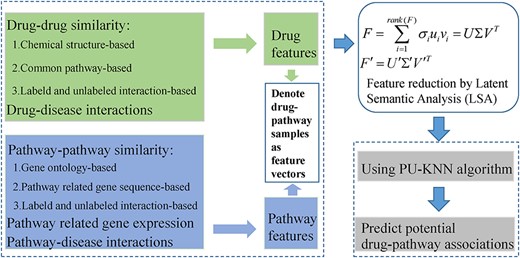 The flowchart of a disease-combined LSA-PU-KNN framework to predict potential drug-pathway associations.