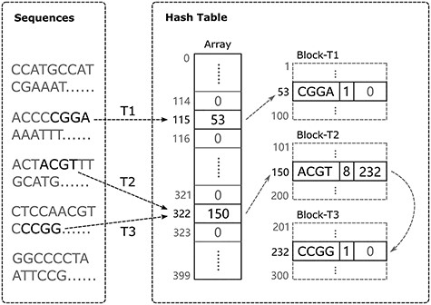 Hash table structure. In this example, the length of the bucket array is 400. In total, 300 nodes (load factor 0.75) are pre-allocated and assigned to three threads T1, T2, and T3 in blocks. Each thread can read different parts from the original sequencing data and add k-mers in parallel. For T1 and T2, they are inserting k-mers that do not yet exist in the hash table. Each of T1 and T2 requests a new node from its own block and inserts the corresponding k-mer into its target bucket. For T3, the k-mer CCGG that it is inserting conflicts with the ACGT that T2 has just inserted, so the new node must be linked to the tail of the node that contains ACGT.