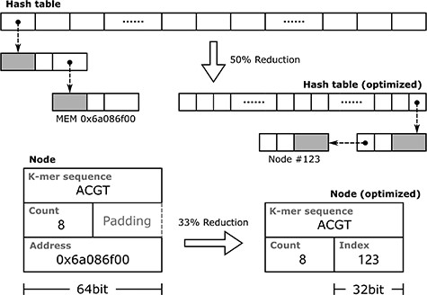 This example illustrates RAM optimization when counting k-mers shorter than 32 bp. By replacing memory addresses with indexes of the node array, both the nodes and hash table array are reduced in size.