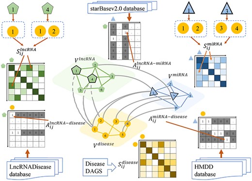 Inter-association and intra-similarity matrices A and S derived from the multi-layer heterogeneous graph of lncRNA, miRNA and disease.