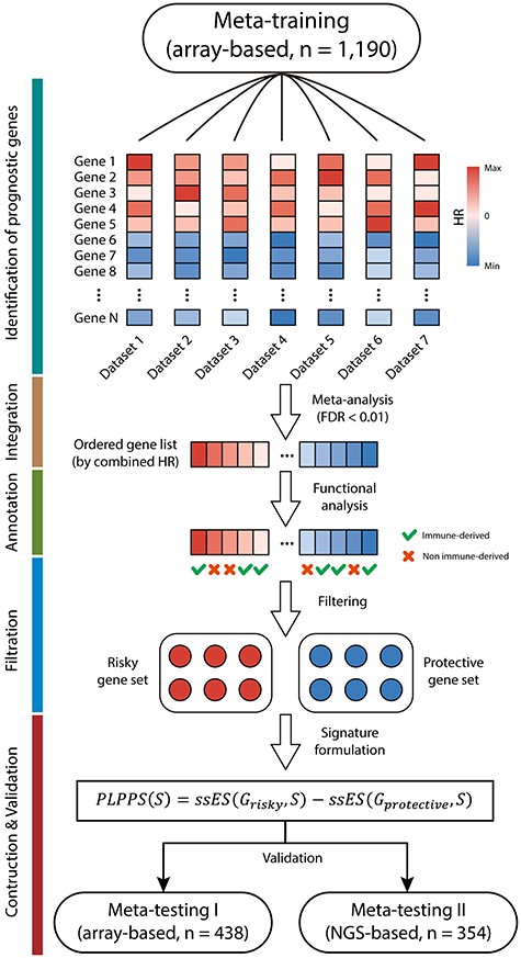 Diagram of the study design. A total of 1982 HGSOC patients from 16 HGSOC datasets were merged and divided into array-based meta-training cohort (n = 1190), array-based meta-testing I cohort (n = 438) and NGS-based meta-testing II cohort (n = 354) based on their sample size and platforms for further analysis. A mechanistically derived patient-level computational framework through the incorporation of statistical power and biological rationale prospectively was developed to generate a personalized gene signature (named PLPPS) in the meta-training cohort, which was rigorously validated in meta-testing I cohort and meta-testing II cohort.