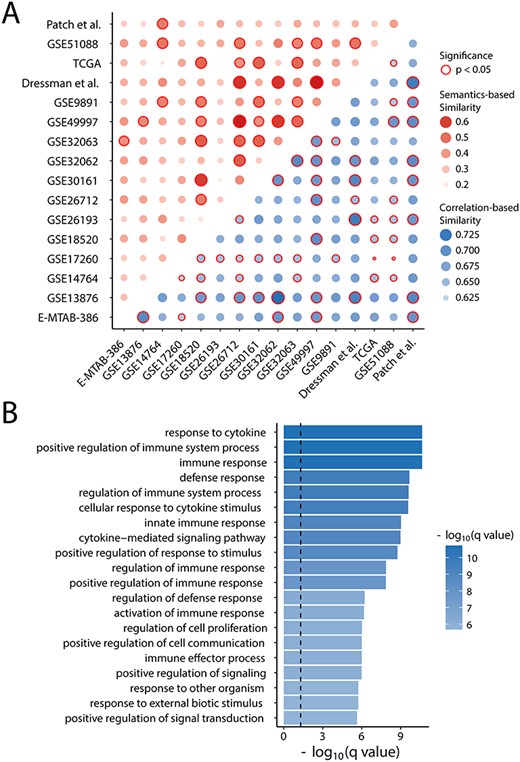 Functional evaluation of prognostic gene sets. (A) Heatmaps of semantic and expression similarities among gene expression prognostic signatures. (B) Enriched GO terms of candidate prognostic genes.