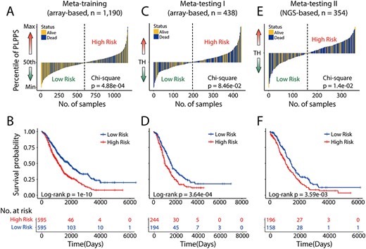 Development and external validation of the prognostic significance of the PLPPS. The score distribution and survival status of the patient ordered by increasing PLPPS risk score in (A) meta-training cohort (n = 1190), (C) meta-testing I cohort (n = 438) and (E) meta-testing II cohort (n = 354). Kaplan–Meier analysis of the PLPPS for overall survival in (B) meta-training cohort (n = 1190), (D) meta-testing I cohort (n = 438) and (F) meta-testing II cohort (n = 354). TH: threshold.