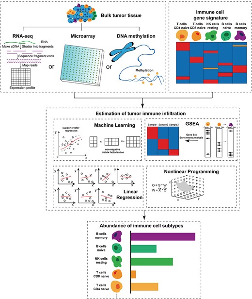 Schematic workflow of computational principles for in silico quantitation of immune contexture in the tumor microenvironment.