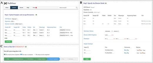Input page of PedMiner and parameters for the linkage region detection. (A) Upload samples and assign parameters. (B) Specify the disease model. (C) Job-status displayed in real-time.