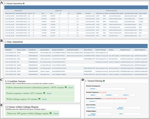 Annotation and filtration page of PedMiner. (A) Detail annotation information of the variants displayed in the table. (B) Detail annotation information of the genes displayed in the table. (C) Default three-step filtration process. (D) Variant filtration item and threshold, users can filter variants based on the variant consequence, population frequency, noxiousness software percent, gene function annotation and linkage region. (E) Genes within the linkage region.