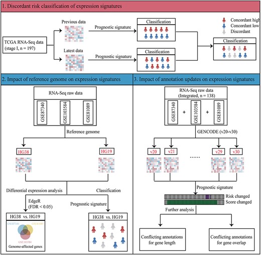 Overview of reference genome and gene annotation analyses. Firstly, we analysed the discordant risk classifications between two versions of TCGA RNA-sequencing data and found that reference genome and gene annotation alterations confound the application of expression signatures. Secondly, we analysed the impact of reference genome updates on expression signature using three RNA-sequencing datasets. Lastly, we analysed the impact of gene annotation updates on expression signature using integrated RNA-sequencing dataset.